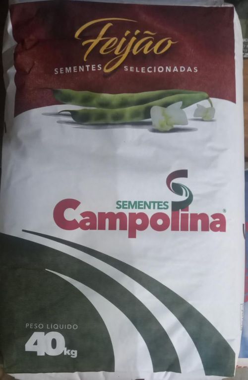 Sementes de Feijão - IAC 2153 Jalo Rajado - Saca de 40 kg