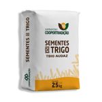 semente-de-trigo-tbio-audaz