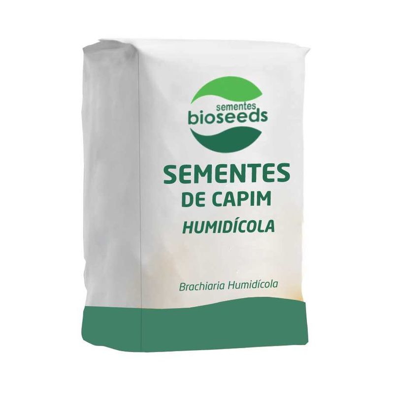 semente-capim-humidicola