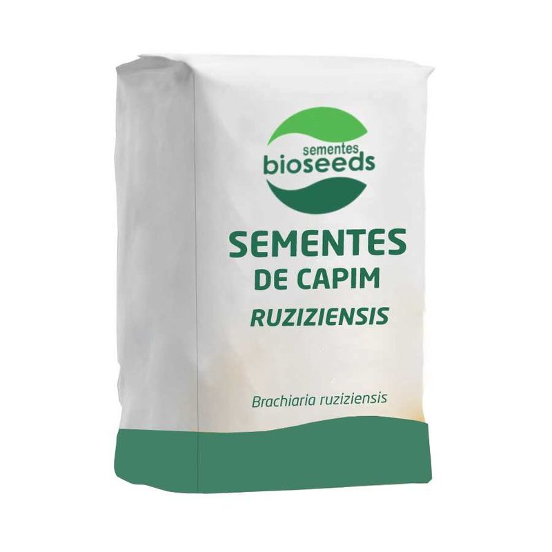 semente-capim-ruziziensis