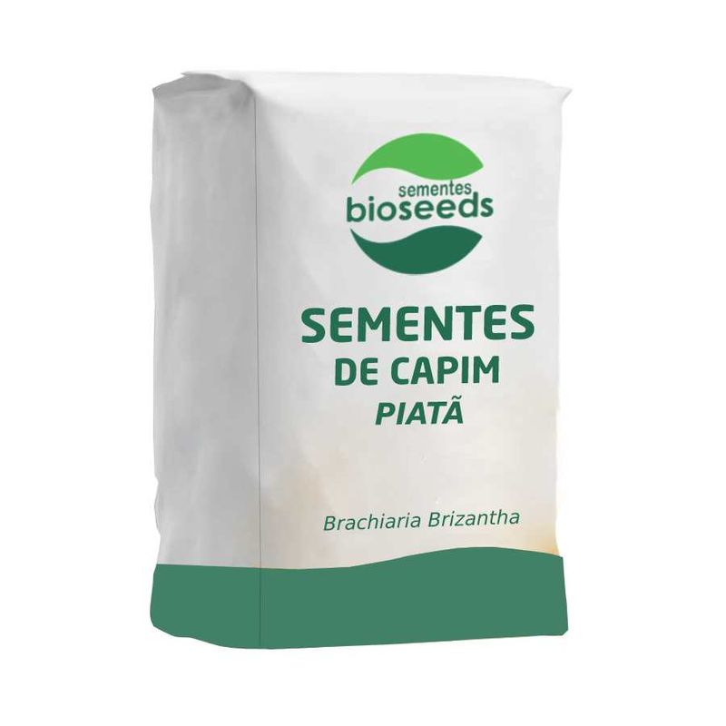 sementes-capim-piata